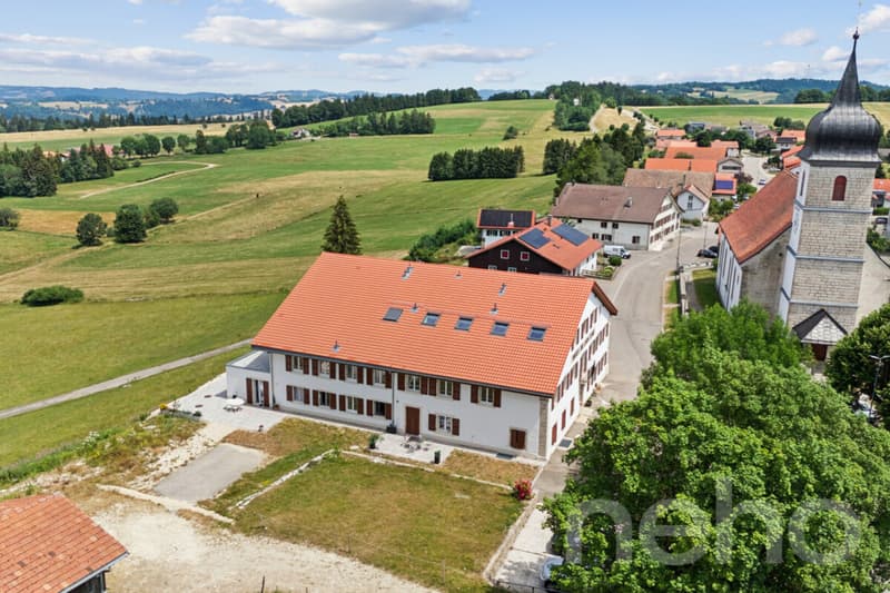 Superbe appartement de 3.5p orienté sud-ouest dans bâtiment historique (11)