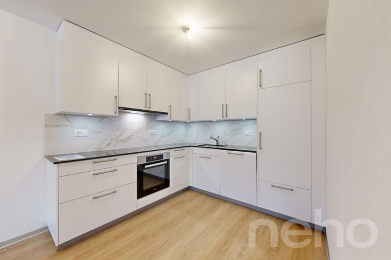 Superbe appartement de 3.5p orienté sud-ouest dans bâtiment historique (5)