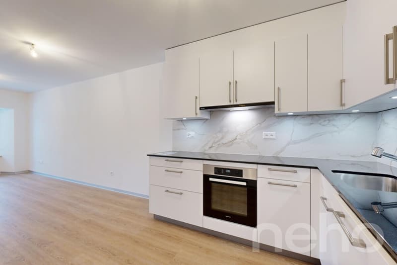 Superbe appartement de 3.5p orienté sud-ouest dans bâtiment historique (4)