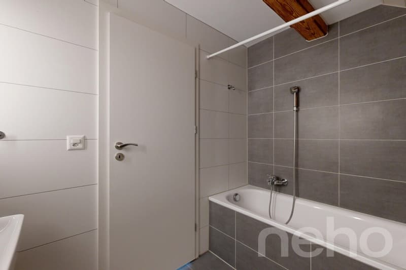 Magnifique appartement dans une ancienne ferme (9)