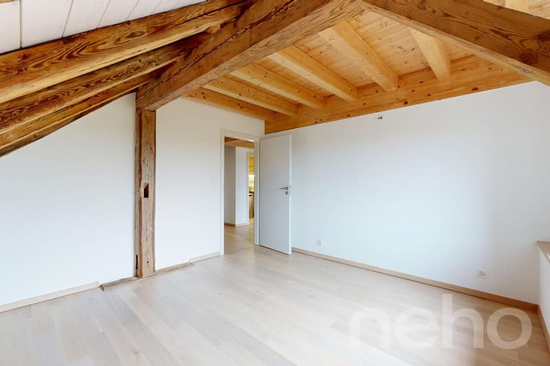 Magnifique appartement dans une ancienne ferme (8)