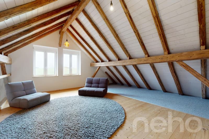 Magnifique appartement dans une ancienne ferme (10)