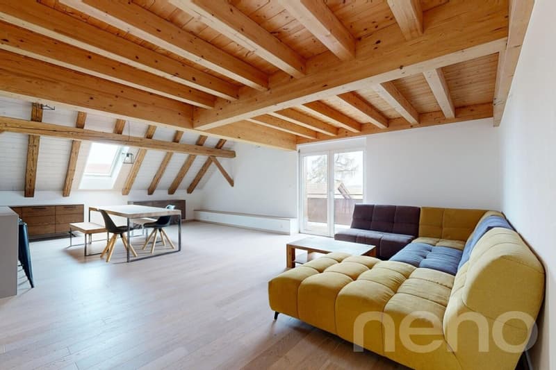 Magnifique appartement dans une ancienne ferme (5)