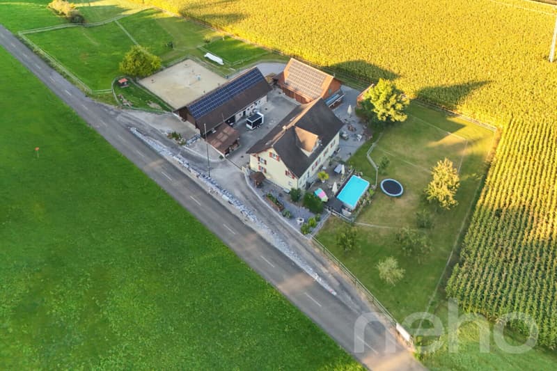 Ideal horse property with 3 apartments in Bischofszell (1)