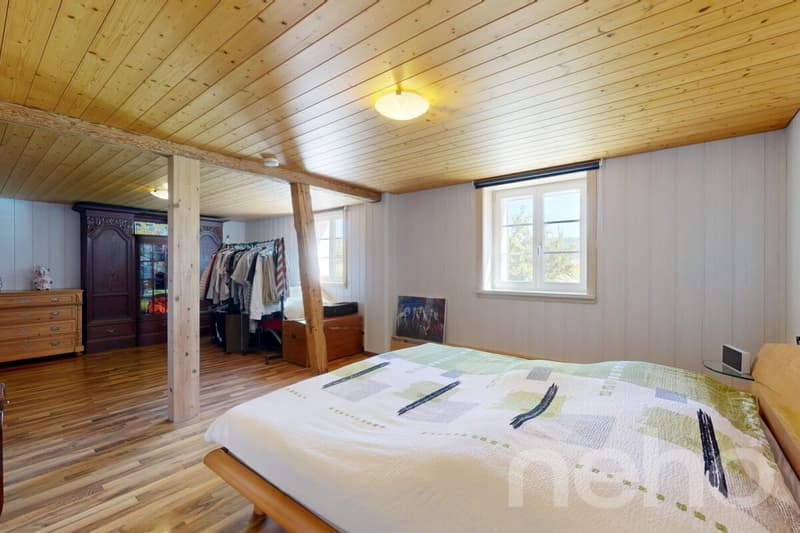 Ideal horse property with 3 apartments in Bischofszell (5)