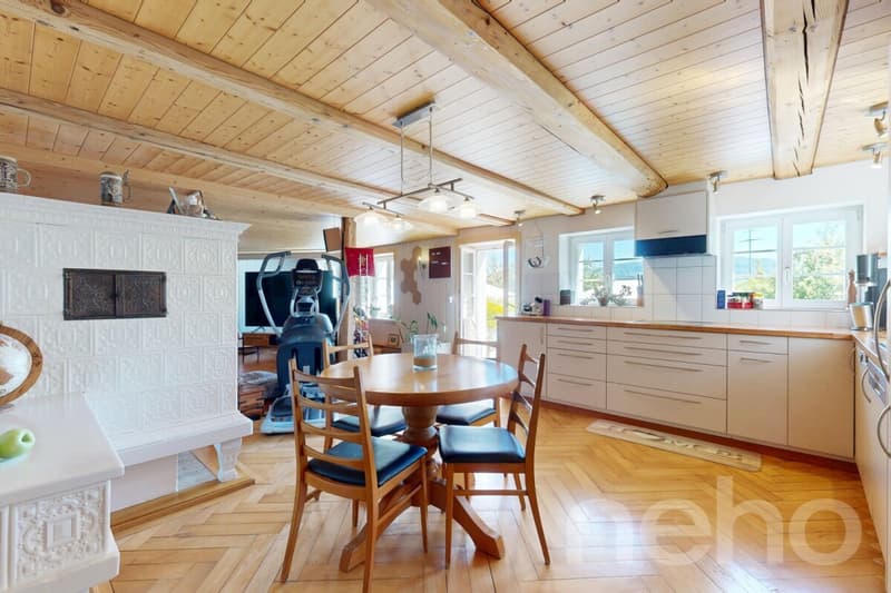 Ideal horse property with 3 apartments in Bischofszell (4)