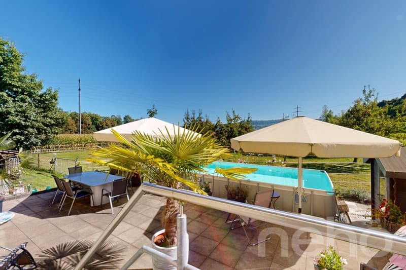 Ideal horse property with 3 apartments in Bischofszell (9)