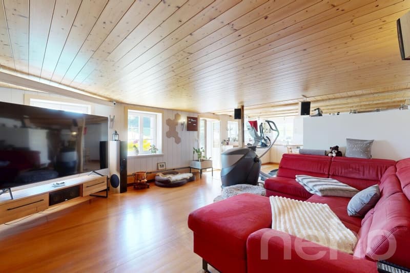 Ideal horse property with 3 apartments in Bischofszell (3)