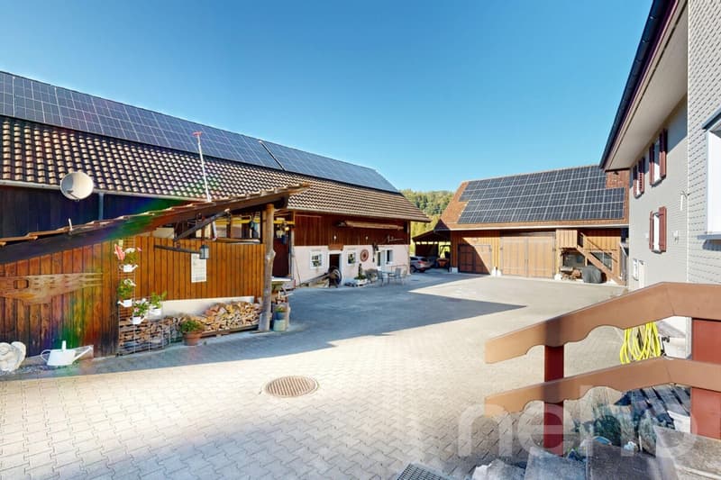 Ideal horse property with 3 apartments in Bischofszell (11)