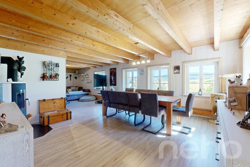 Ideal horse property with 3 apartments in Bischofszell (12)