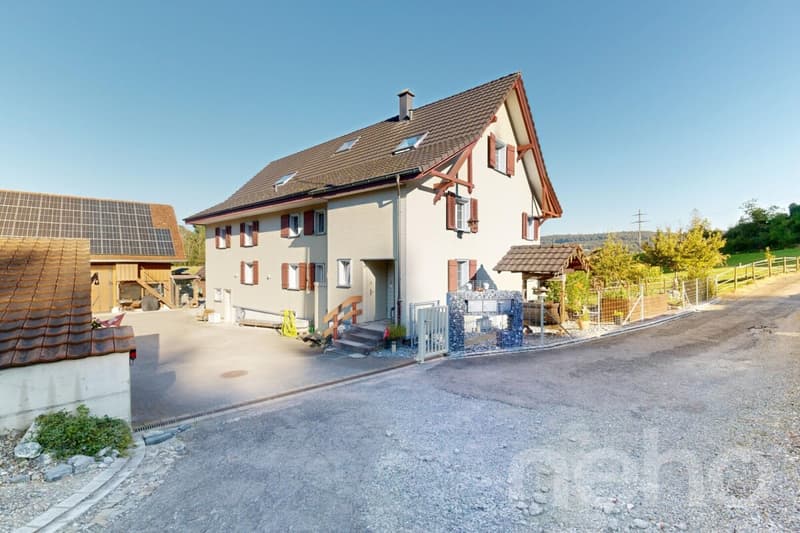 Ideal horse property with 3 apartments in Bischofszell (2)