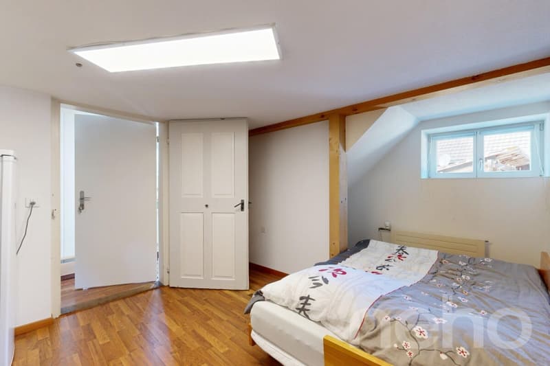 Ideal horse property with 3 apartments in Bischofszell (7)