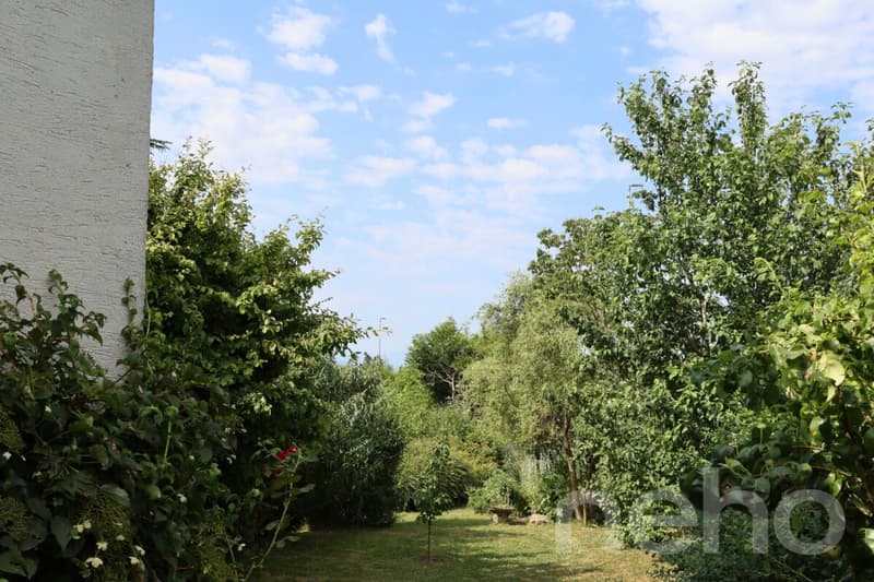 Casa ristrutturata con giardino in una posizione eccezionale (5)