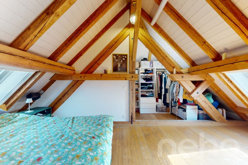 Magnifique duplex familial sous les toits (9)