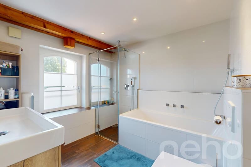 Magnifique duplex familial sous les toits (7)