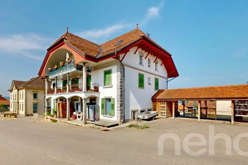 Magnifique duplex familial sous les toits (10)