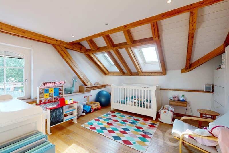 Magnifique duplex familial sous les toits (8)