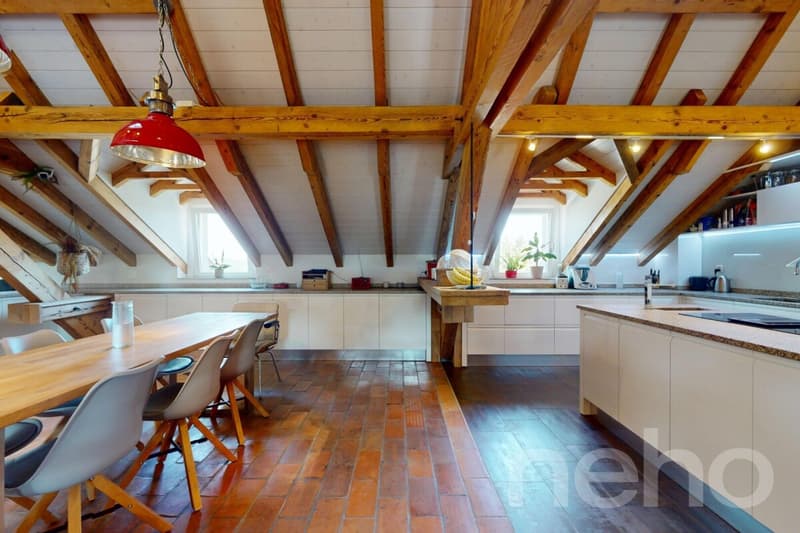 Magnifique duplex familial sous les toits (4)