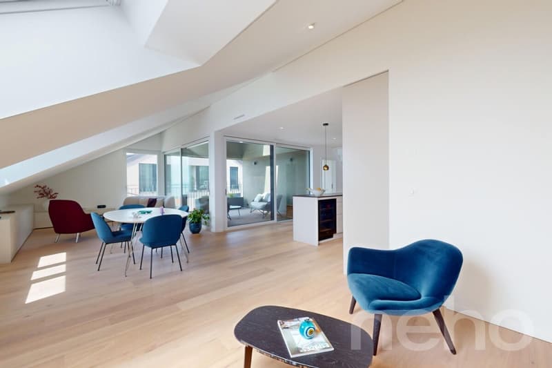 Bellissimo duplex in attico con terrazza e vista panoramica (7)