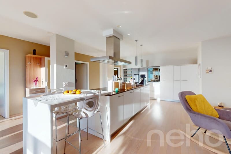 Loft apartment with 3.5 rooms, high-quality features (3)