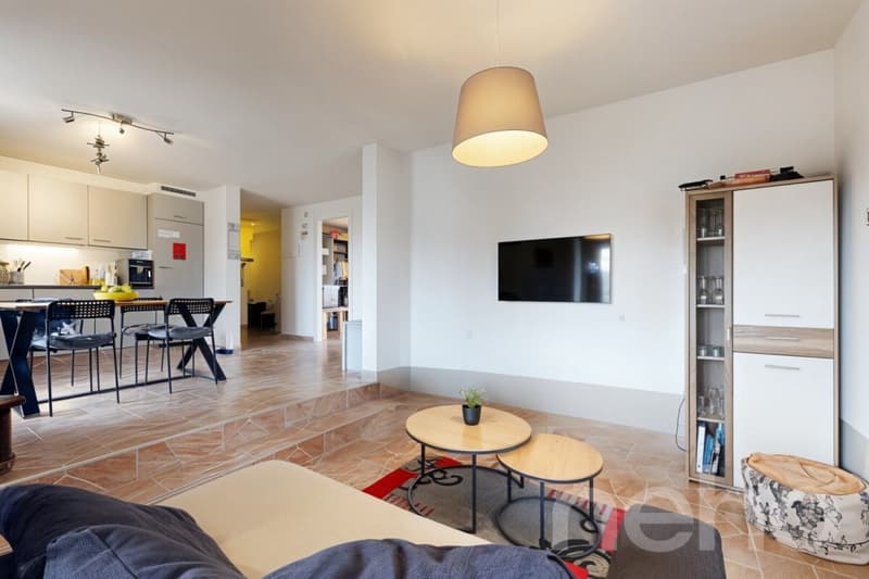 Charmant 3.5 pièces avec grand jardin au centre de Riddes (2)