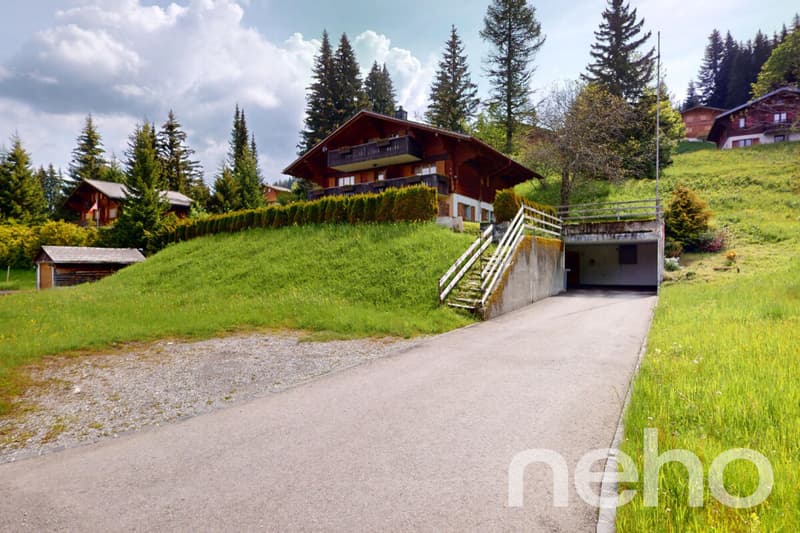 Exclusive: Large chalet with 3 apartments (3)