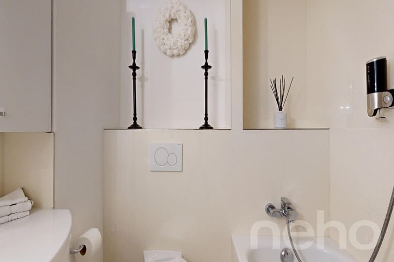 Quiet 4.5-room apartment at the foot of the Uetliberg (12)