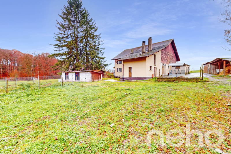 Ideal for a family or an investor! (10)