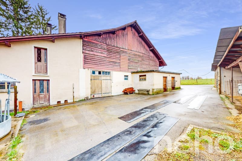 Ideal for a family or an investor! (11)