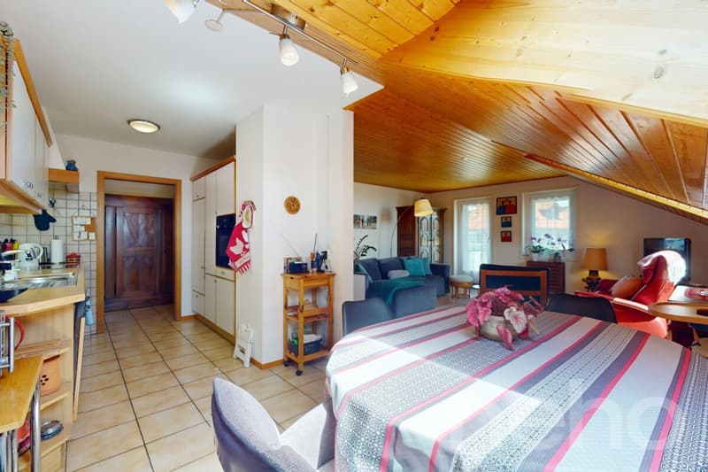 Exclusif: Spacieux appartement de 3 chambres dans les combles (7)