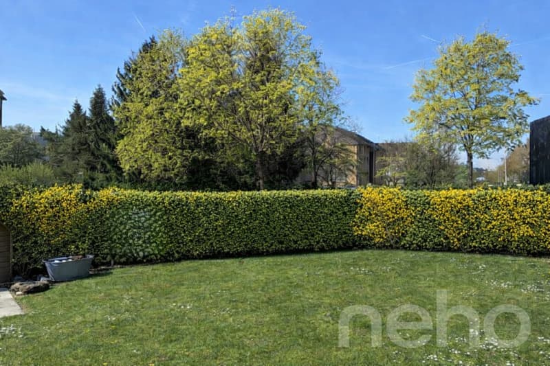 Casa unifamiliare con giardino a Niederwenigen, vicino a Zurigo (10)