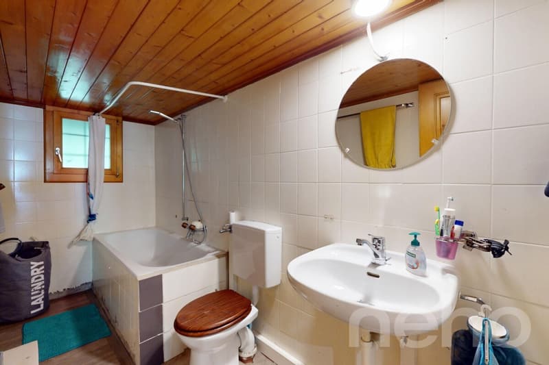 Authentic renovated chalet - large plot of land by the river (10)