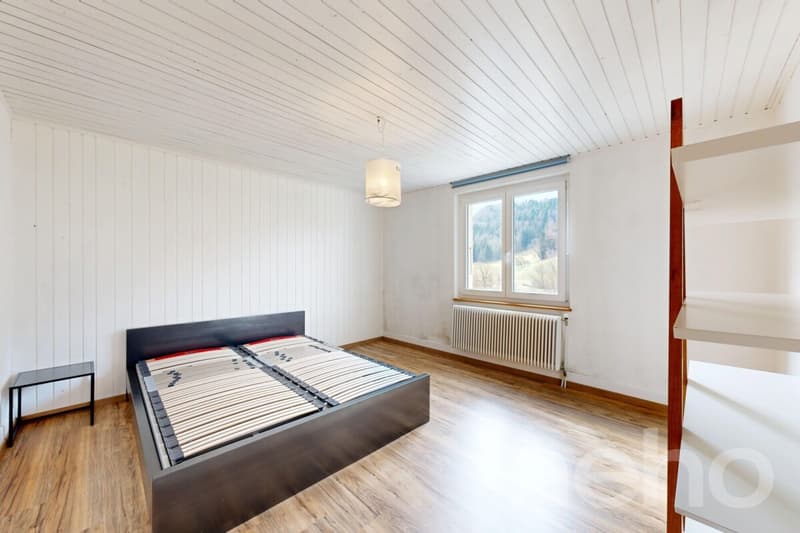 Bella Casa a St-Ursanne ? 3 alloggi indipendenti (4)