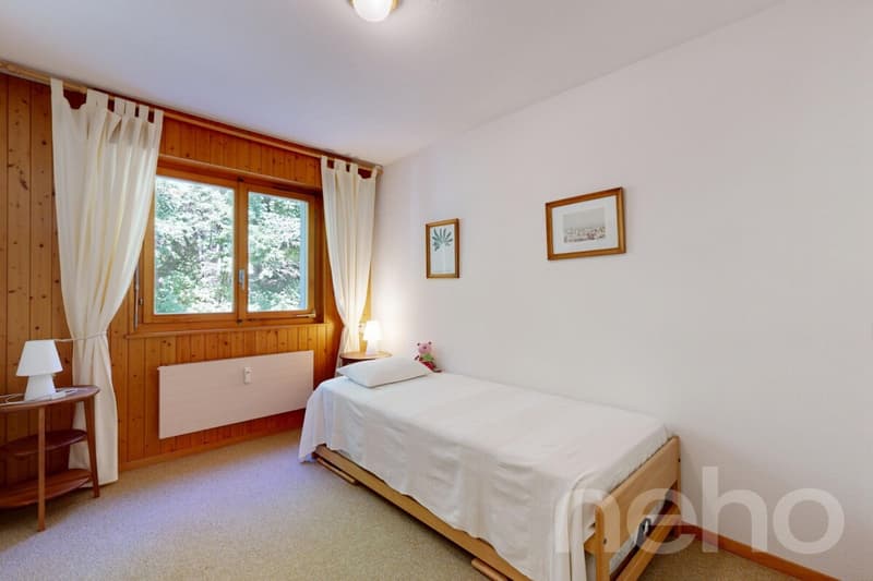 Gryon - 2 Bedroom Apartment - View of the Muverans and Dents du Midi (7)