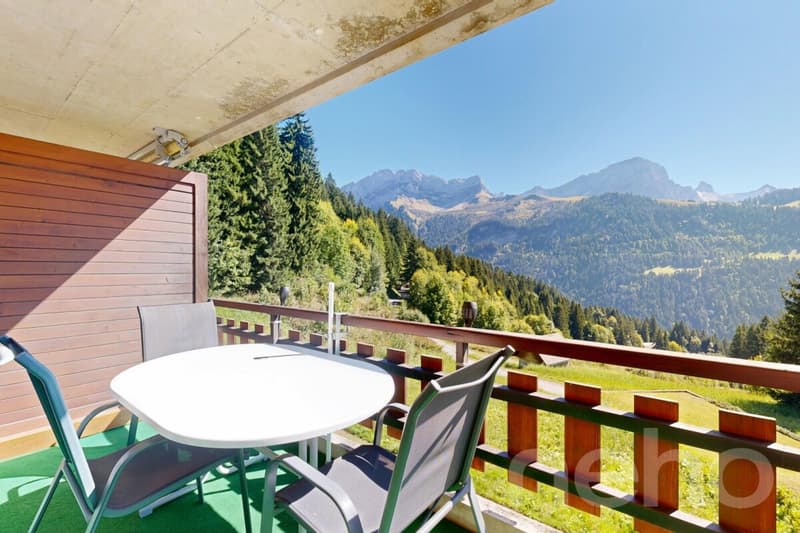 Gryon - 2 Bedroom Apartment - View of the Muverans and Dents du Midi (12)