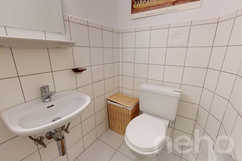 Gryon - 2 Bedroom Apartment - View of the Muverans and Dents du Midi (10)
