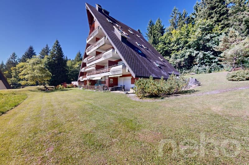Gryon - 2 Bedroom Apartment - View of the Muverans and Dents du Midi (2)