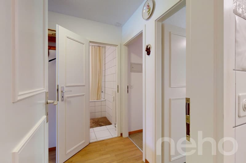 Gryon - 2 Bedroom Apartment - View of the Muverans and Dents du Midi (8)