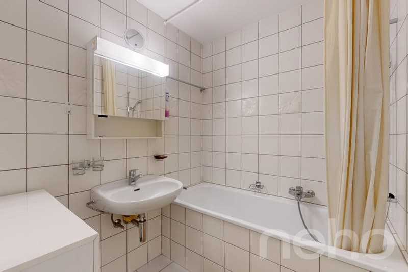 Gryon - 2 Bedroom Apartment - View of the Muverans and Dents du Midi (9)