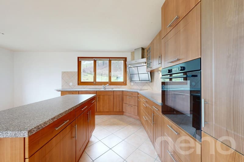 Splendid individual villa (7)