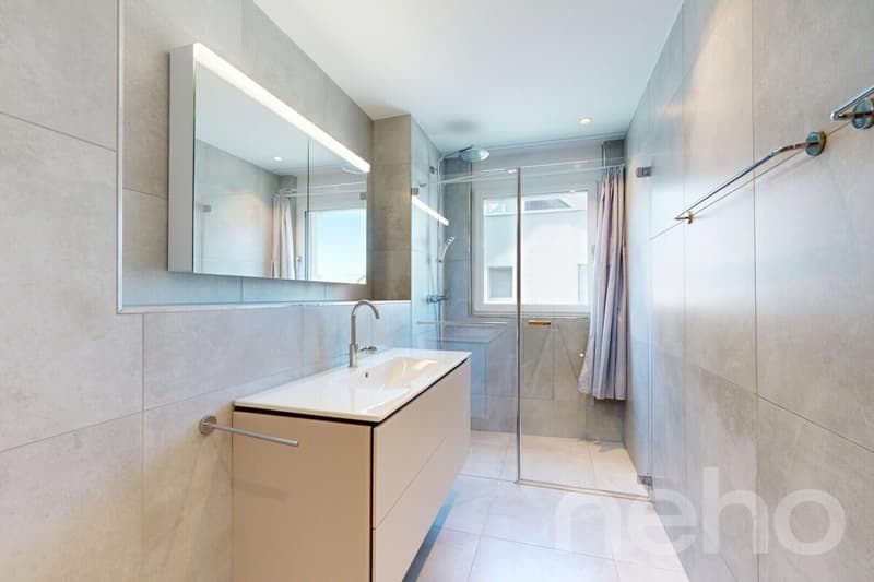 Newly valued 5.5-room maisonette apartment in Spreitenbach (8)