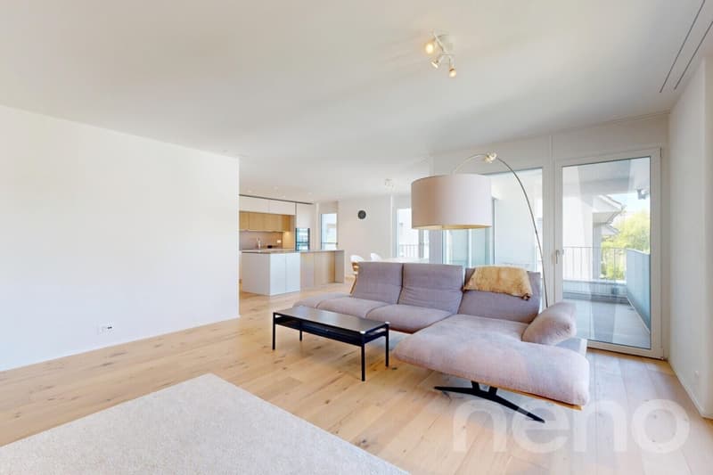 Newly valued 5.5-room maisonette apartment in Spreitenbach (1)