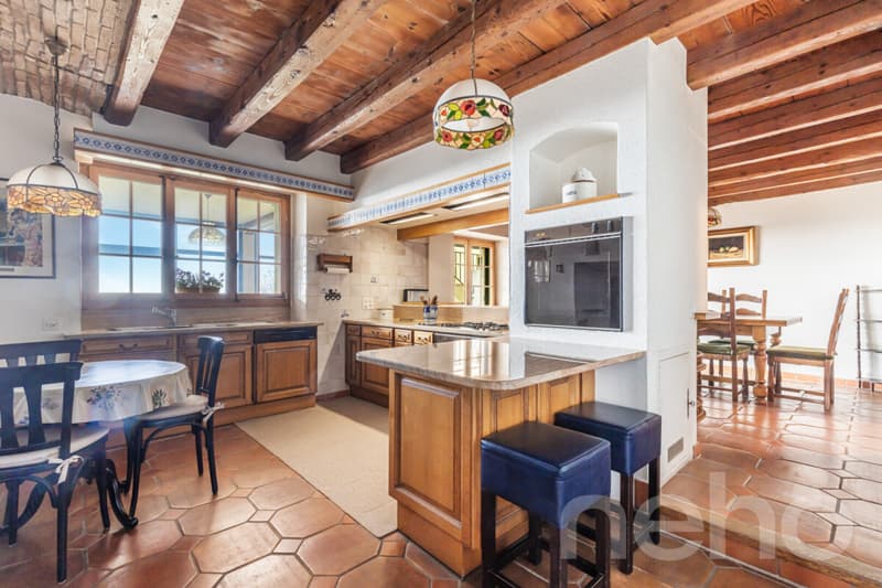 Large family house with independent annex (4)