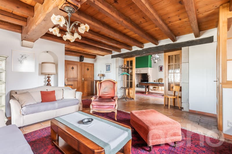Large family house with independent annex (3)