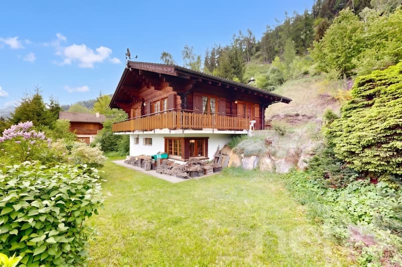 Authentic log cabin on the heights of Grône (3)