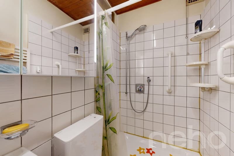 Immeuble 6 lots ? Bon rendement, prêt à exploiter (10)