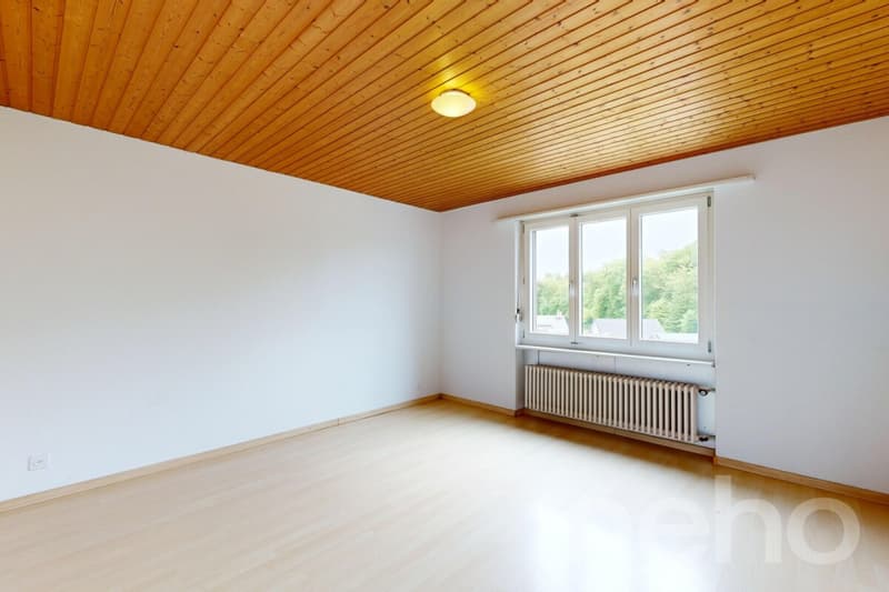 4-bedroom apartment on the top floor with balcony and chimney (4)