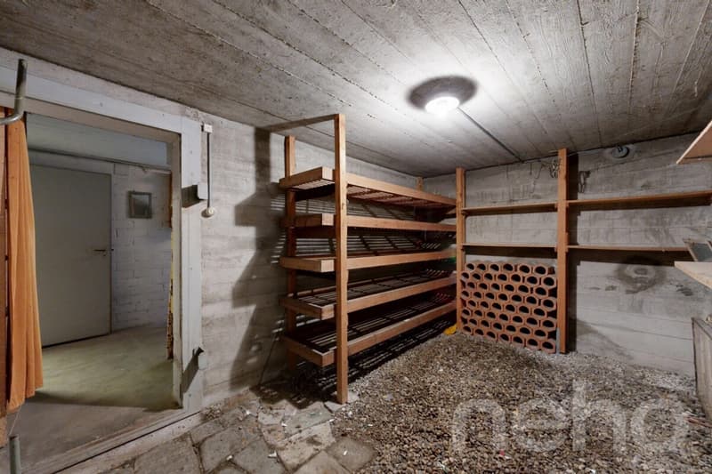 Charming single-family house in a preferred location with garage (10)