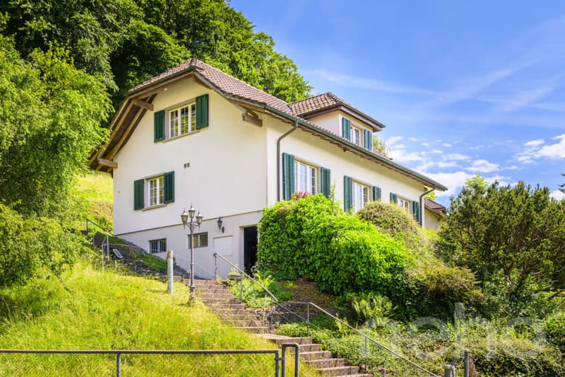 Detached house with a far-reaching view, privacy, and a dream garden (4)