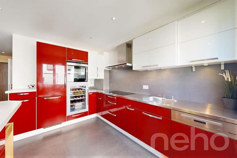 Renovated duplex attic in Terre Sainte with generous volumes (8)